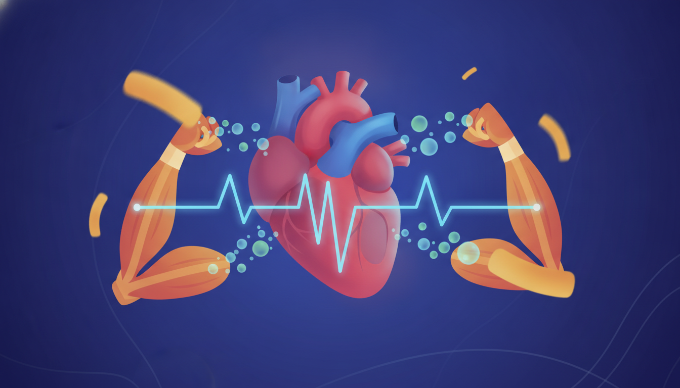 Editorial illustration for: Why Does Your Heart Beat Faster When You Exercise?